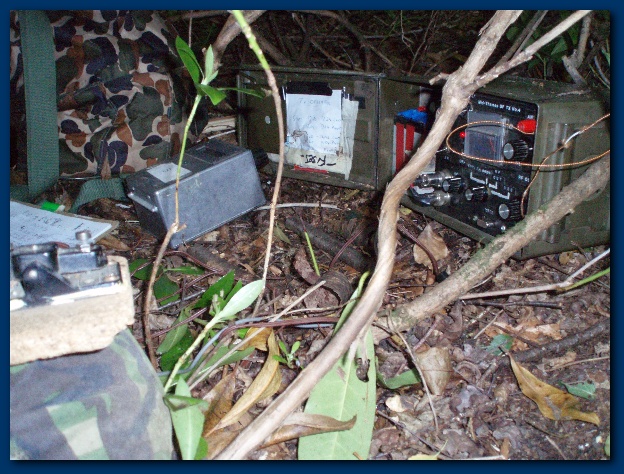 600x449 pixels (179K)